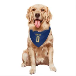 Los Angeles Chargers Peter Bowden Royal Gold Pet Bandana for Dog & Cat