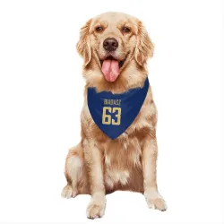 Los Angeles Chargers Tyler Biadasz Royal Gold Pet Bandana for Dog & Cat